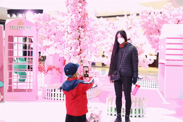 2.gif