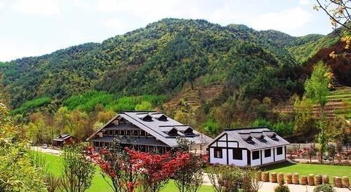 绿色宝库花桥村_副本.jpg