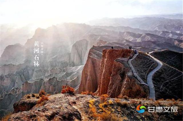 图片6_副本.jpg