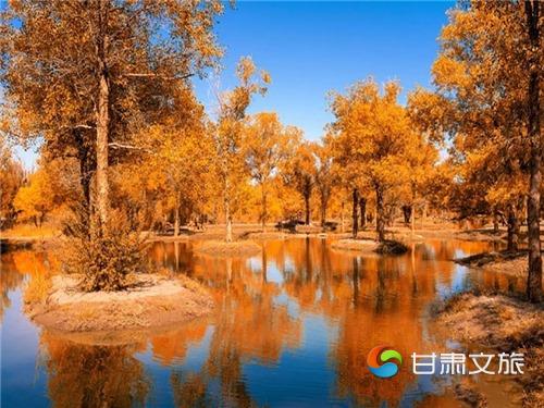 神州科技金塔沙漠胡杨林_副本.jpg