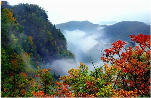 崇信八景莲花台_副本.jpg