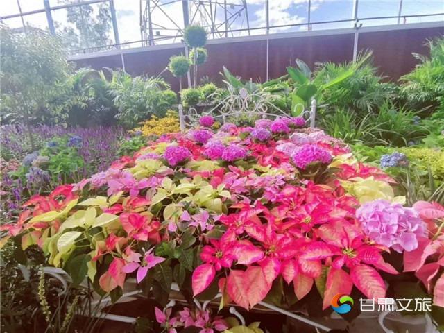 viewfile (6)_副本.jpg