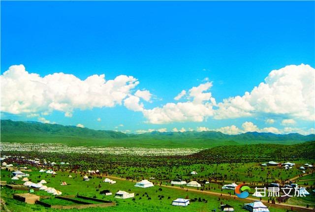 桑科草原国家AA级景区.jpg