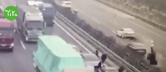 5.gif