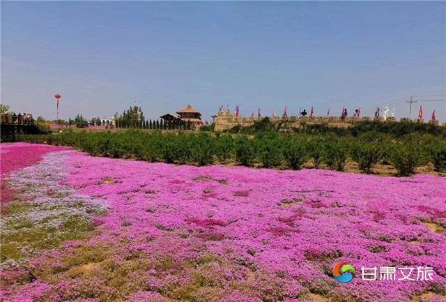义渠百花园2_副本.jpg