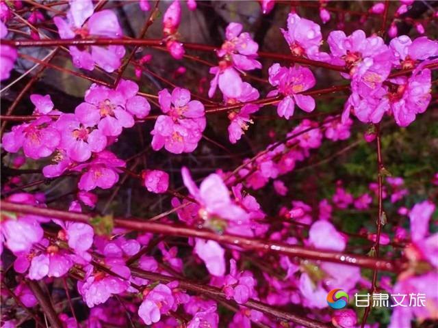 2_副本.jpg