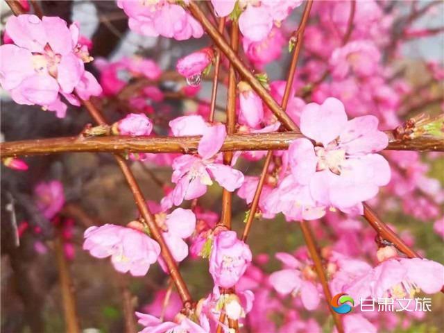 4_副本.jpg