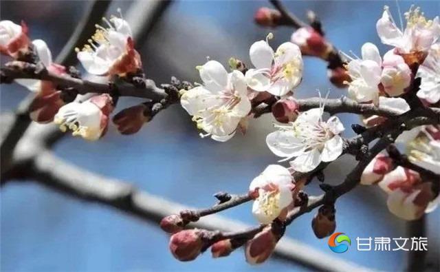 微信图片_20210303170326_副本.jpg