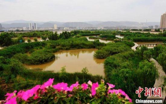图为兰州黄河湿地公园景色。(资料图) 杨艳敏 摄
