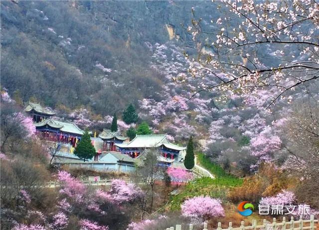 崆峒山桃花14_副本.jpg