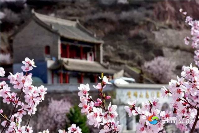 崆峒山桃花6_副本.jpg