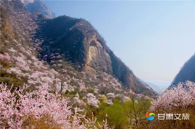 崆峒山桃花9_副本.jpg