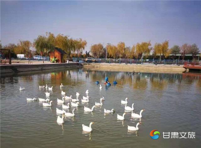 图片19_副本.jpg