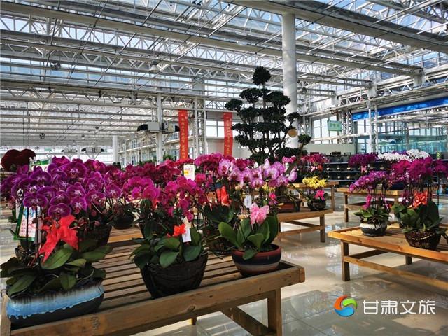 图片24_副本.jpg