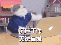 1.gif
