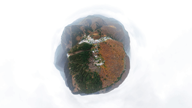 微信图片_20211026185258.gif