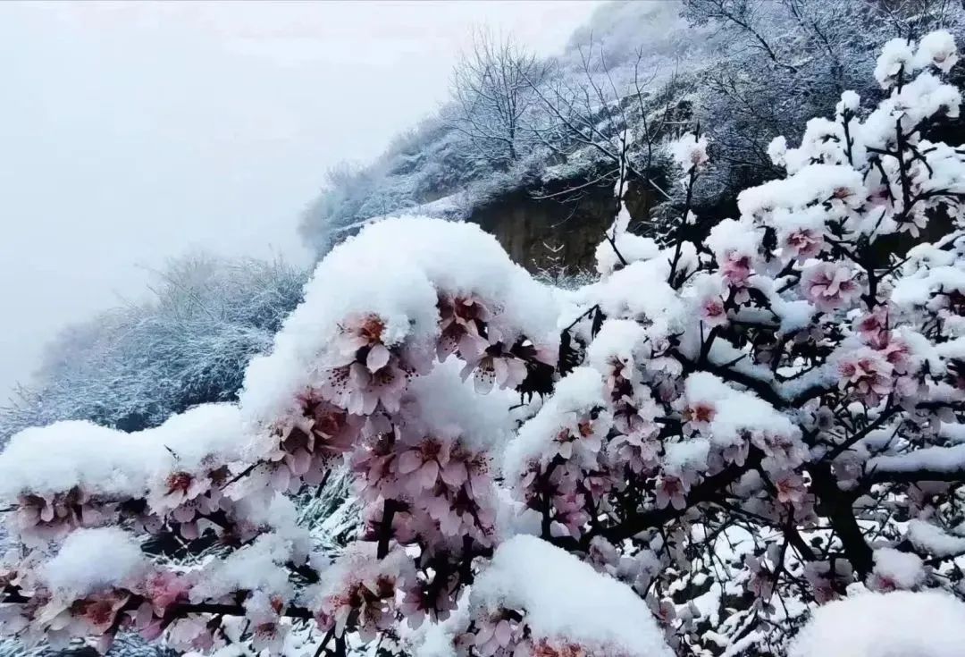 http://wlcf.cttv.co/NewsImag/2023/03/28/20230328033107817572.jpg