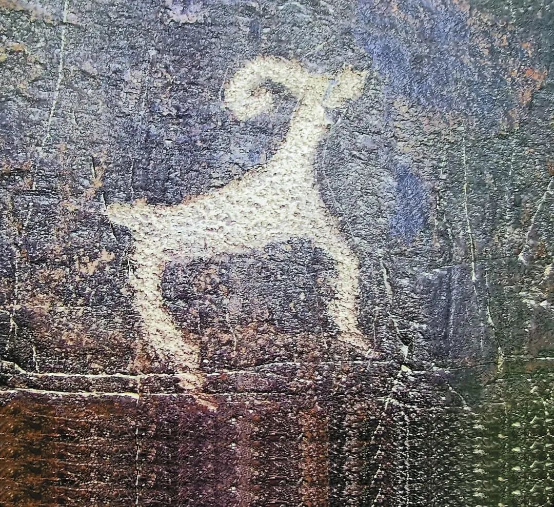 http://wlcf.cttv.co/NewsImag/2023/07/20/20230720112227424820.jpg