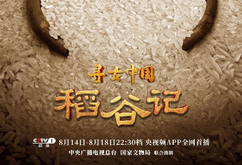 http://wlcf.cttv.co/NewsImag/2023/08/15/20230815114836194171.jpg