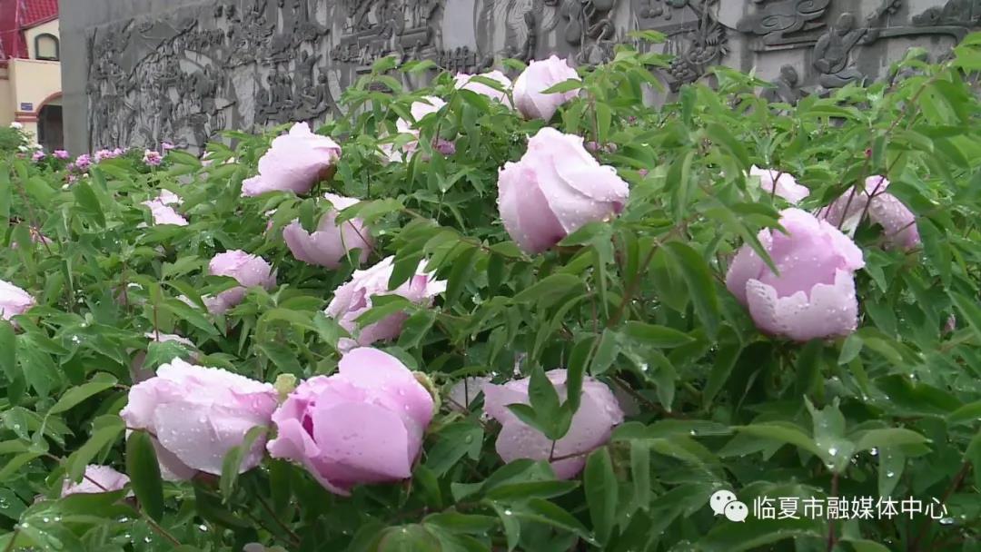http://wlcf.cttv.co/NewsImag/397df248f66646bfadaaed9f4975e249.jpg