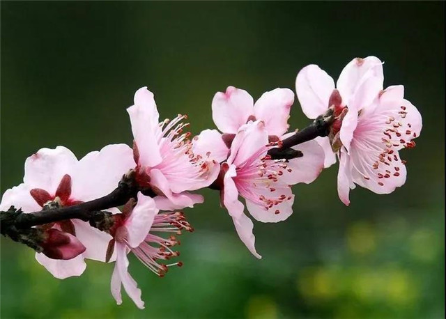 http://wlcf.cttv.co/NewsImag/6f1630422e3c4996b1079ffd2d717650.jpg