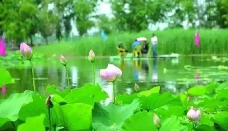 http://wlcf.cttv.co/NewsImag/d16863f89cf344f19b5dbe5392021be5.jpg