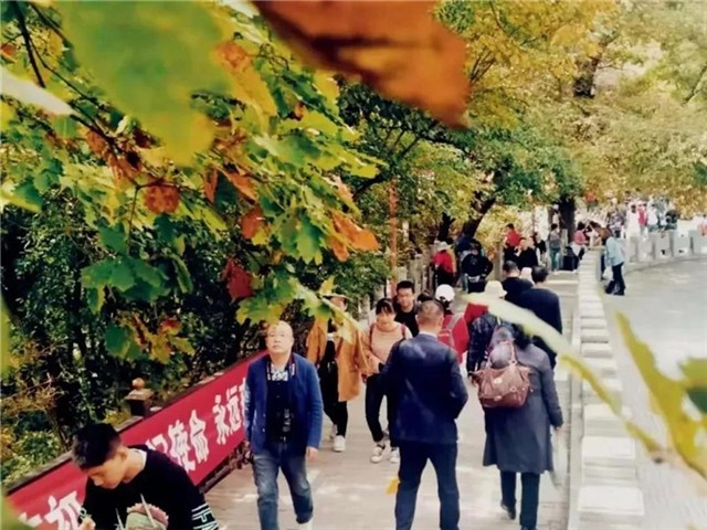 http://wlcf.cttv.co/NewsImag/d655f770e7b94a65924c2c0e22acfb43.jpg